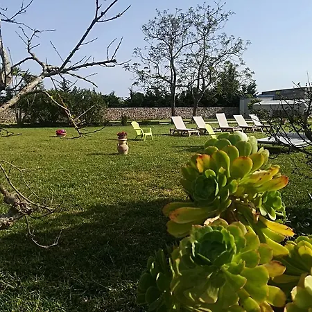 Apartment Bilocale B